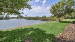 Another view of the lake outide the pool cage from Coconut Palm 2 Villa for rent in Orlando